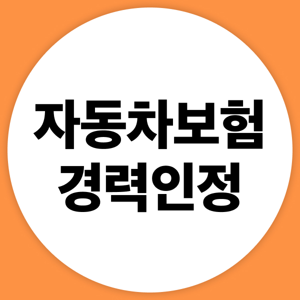 자동차보험경력인정