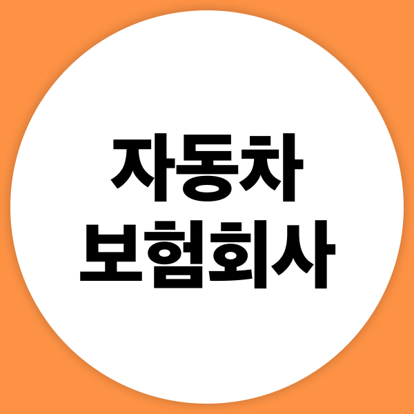 자동차보험회사