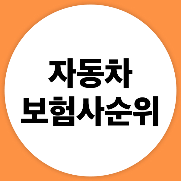 자동차보험사순위