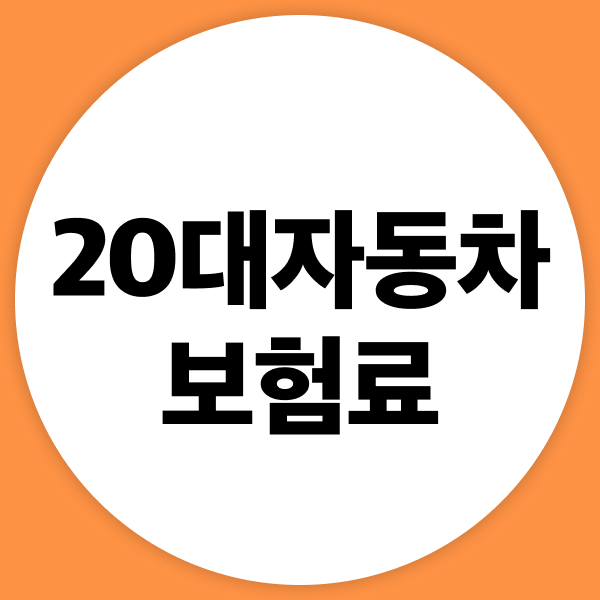 20대자동차보험료